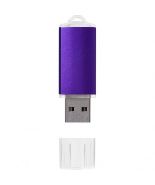 Clé USB Silicon Valley 2 Gb - Violet | Clé USB publicitaire | PRINTECOM