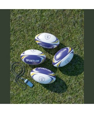 Mini Rugby BUSINESS