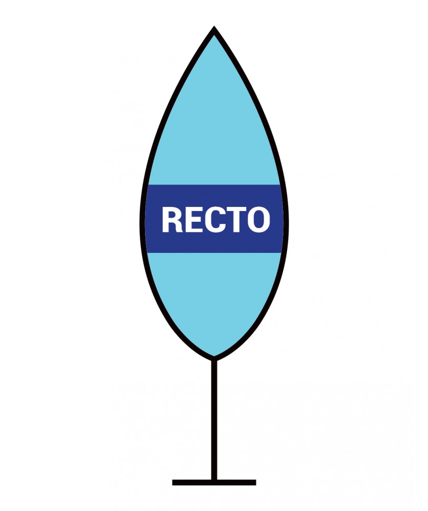 Supports de communication - Leaf flag 310 - Numérique R° | PRINTECOM