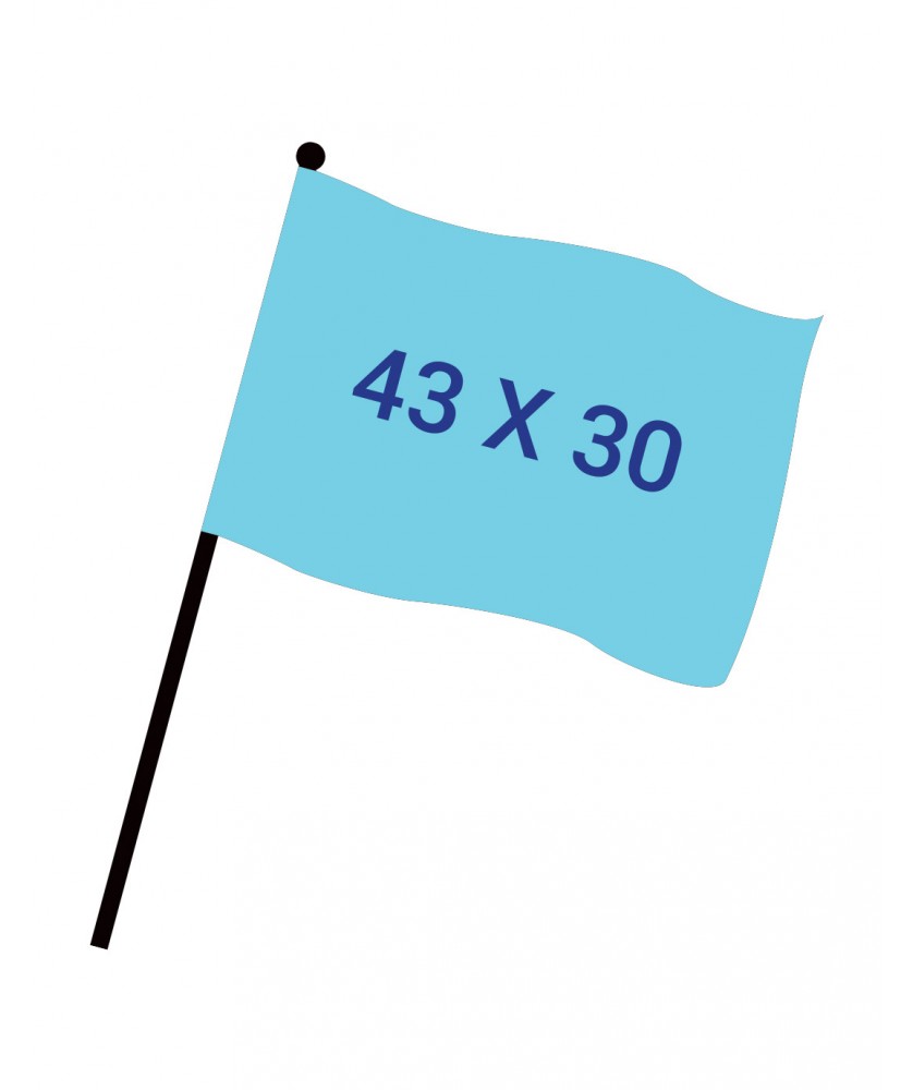Drapeaux de supporter - Drapeau numérique 43x30 cm + Hampe 60 cm | PRINTECOM