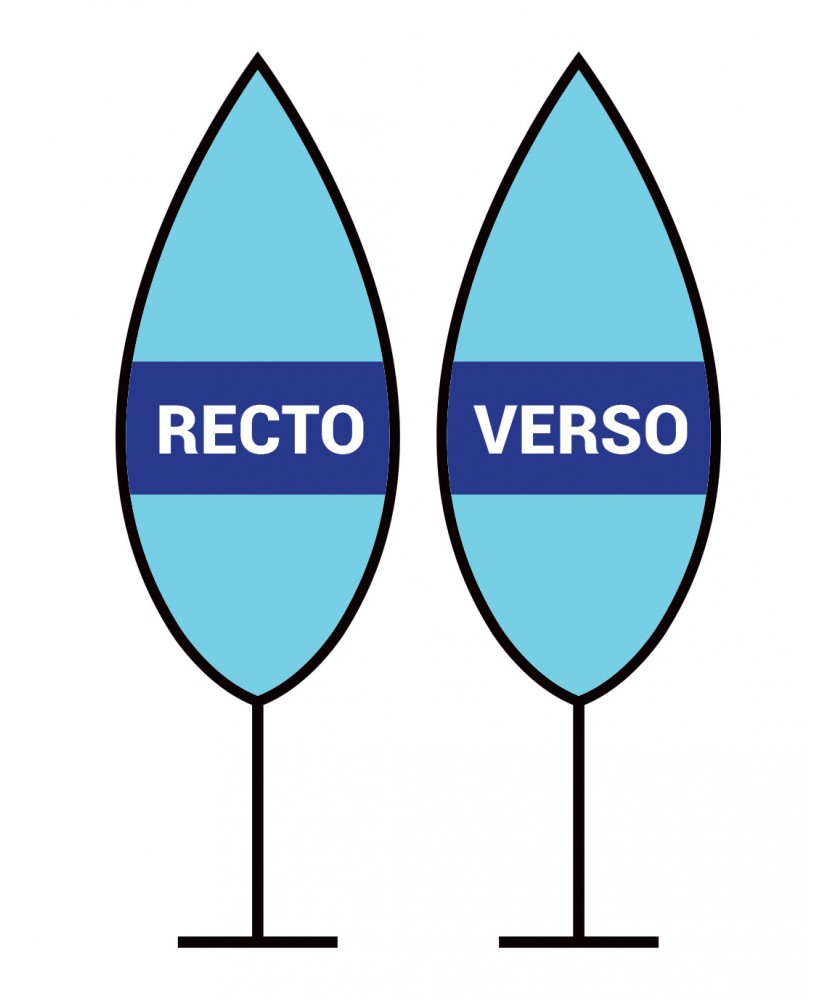 Supports de communication - Leaf flag 310 - Numérique R°/V° | PRINTECOM