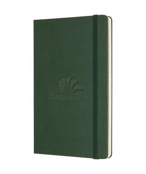 Carnet Moleskine grand format — Classic L ligné