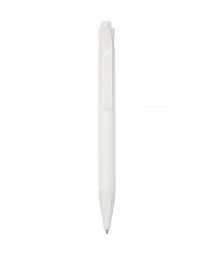 Stylo bille en plastique de...