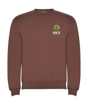 Pull unisexe personnalisé...