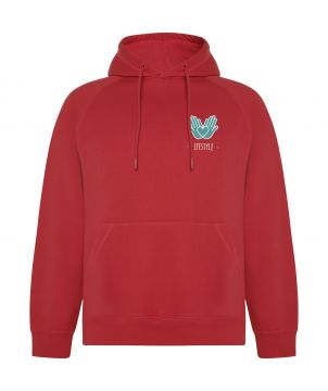 Sweat à capuche unisexe...