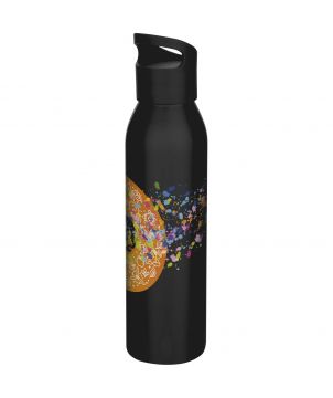 Bouteille d'eau personnalisée inox recyclé 650 ml Sky Bouteilles et gourdes publicitaire
