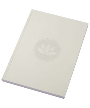 Cahier Novella A5 100...