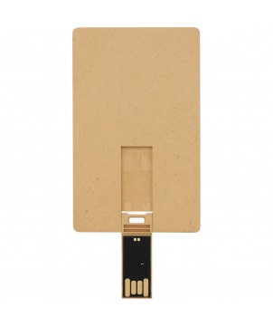 Printécom - Objets et Supports Publicitaires - Clé USB biodégradable rectangulaire en forme de carte de crédit | PRINTECOM