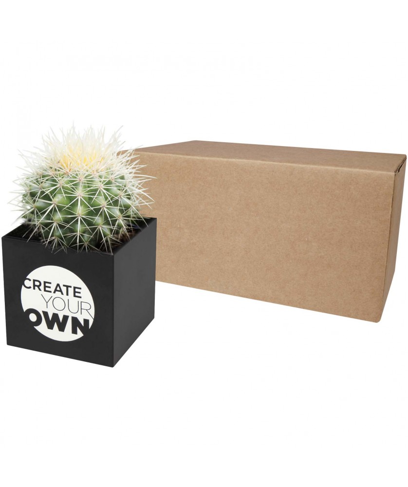 Printécom - Objets et Supports Publicitaires - Pot en aluminium avec cactus Hey Pots | PRINTECOM